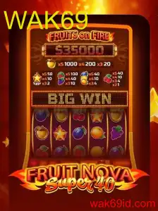 FruitNovaSuper40